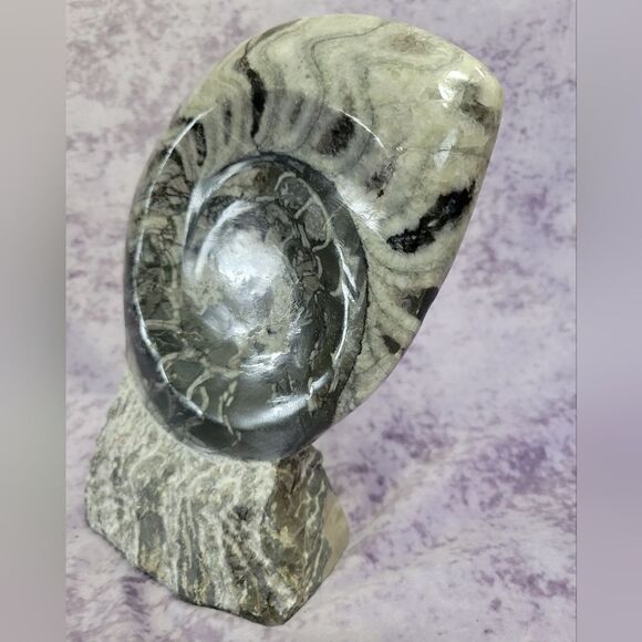 Ammonite & Goniatte Fossil Free Standing - Picture 3 of 9